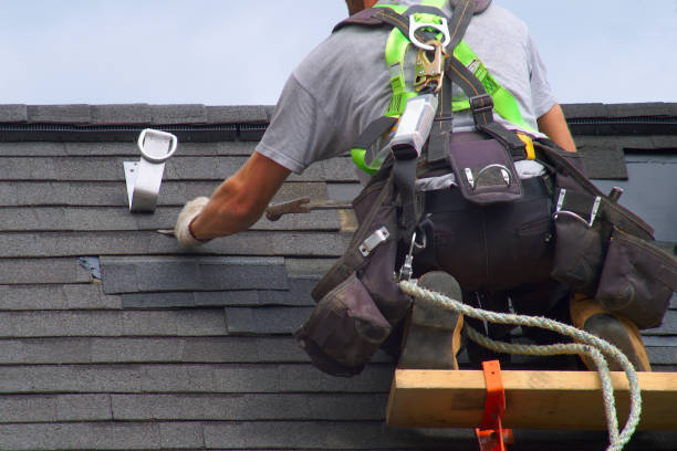 Best Green or Eco-Friendly Roofing Solutions  in USA